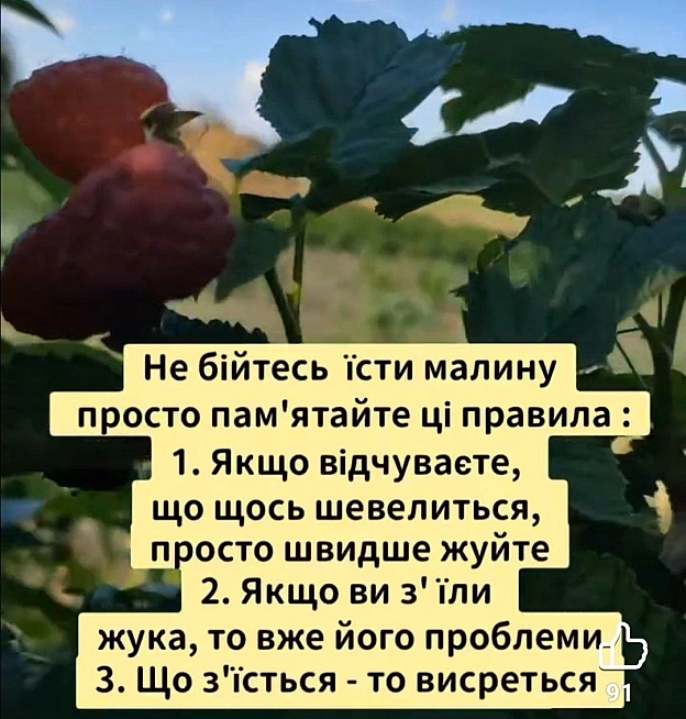 на we.ua