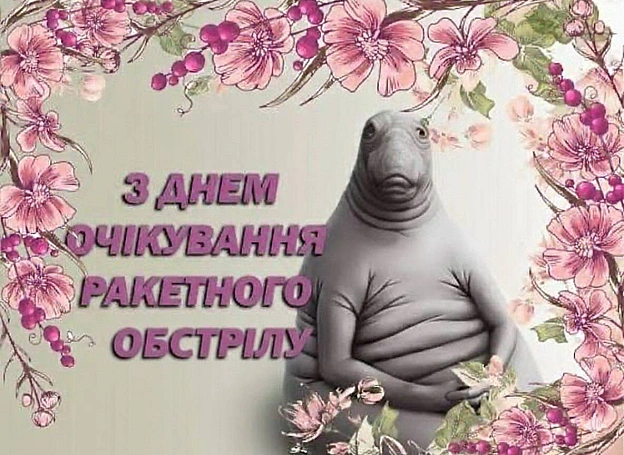 Бережіть себе, кошенята! - на we.ua