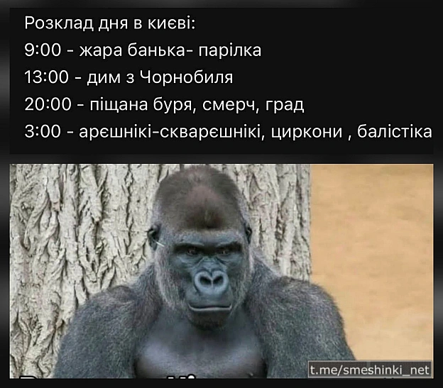 Переглянути нові  |  Надіслати своє - Воєнні Смішинки на we.ua