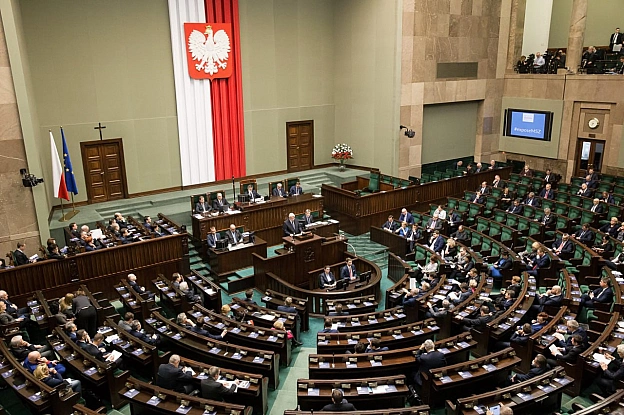 Польські депутати Європейського парламенту внесли до звіту про просування України до членства в ЄС поправки, присвячені Волинськ... - WAS на we.ua