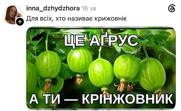 Говоримо правильно@memargam - МЕМАГРАМ на we.ua