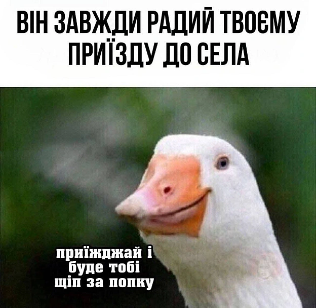 🪿#хзчиймем@memargam - на we.ua