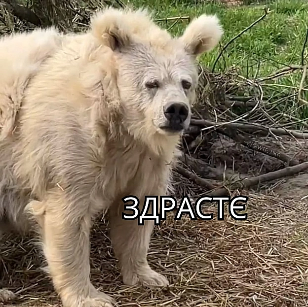 Бодрість і енергія💀TG | X | FB | Instahttps://instagram.com/wtf_ukr/ - на we.ua