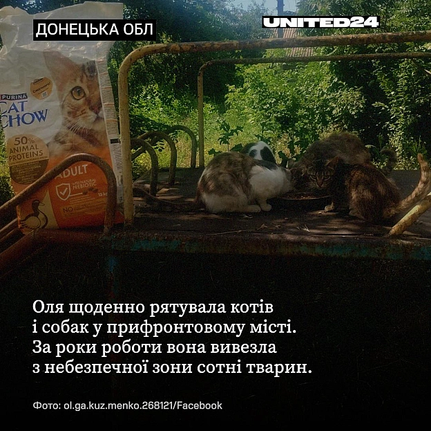 Оля була зовні маленькою, тихою жінкою. Але її сміливість була величезною.У прифронтовій Дружківці загинула зооволонтерка Ольг... - на we.ua