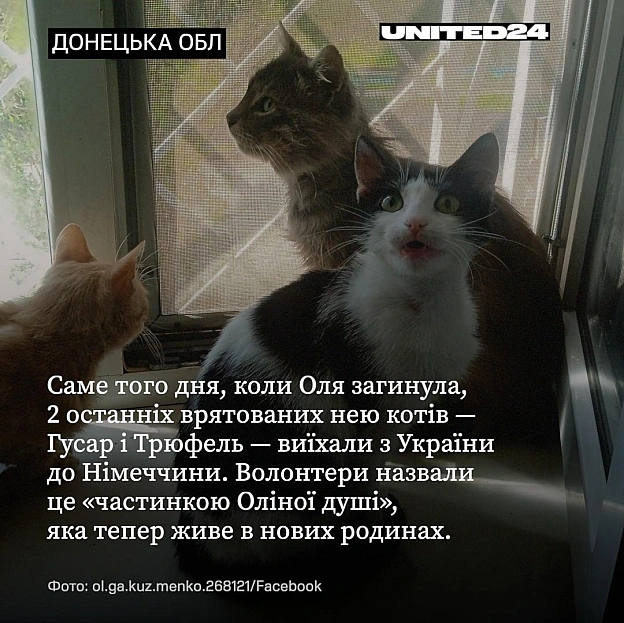 Оля була зовні маленькою, тихою жінкою. Але її сміливість була величезною.У прифронтовій Дружківці загинула зооволонтерка Ольг... - на we.ua