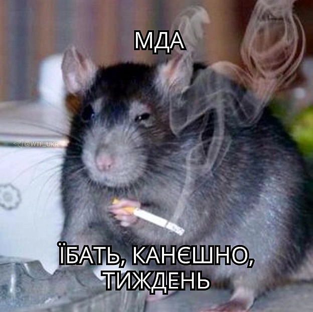 А тільки вівторок💀TG | X | FB | Instahttps://instagram.com/wtf_ukr/ - на we.ua