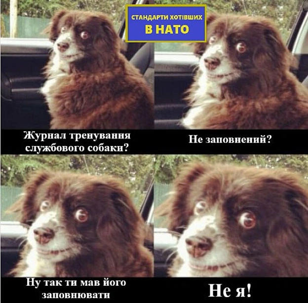на we.ua