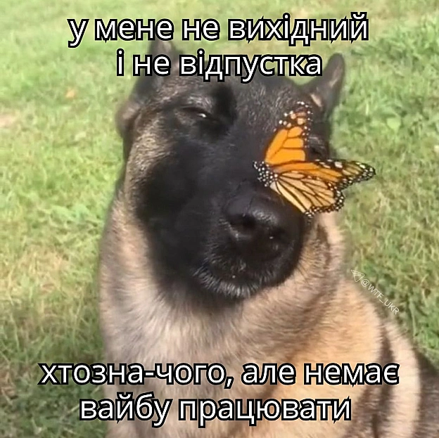 День обіцяє бути продуктивним💀TG | X | FB | Instahttps://instagram.com/wtf_ukr/ - на we.ua
