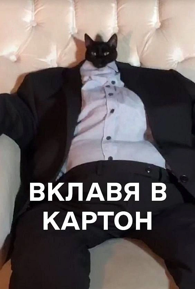 Не туди ми інвестували(с) @dbmua@memargam - на we.ua