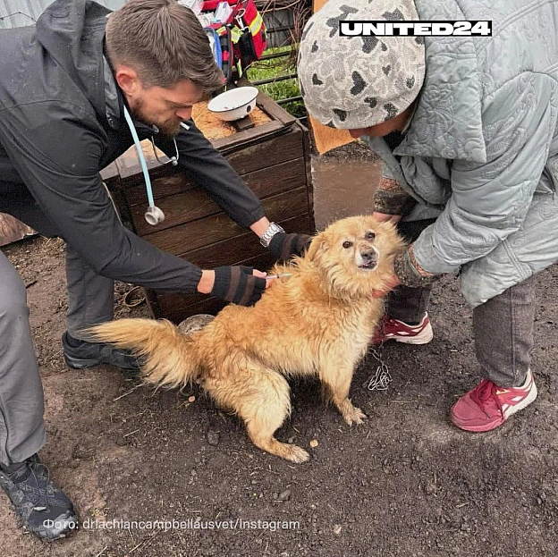 Австралійський ветеринар Лахлан Кемпбелл уперше приїхав в Україну лише через місяць після початку російського повномасштабного в... - на we.ua