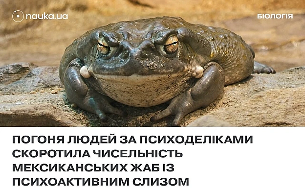 на we.ua