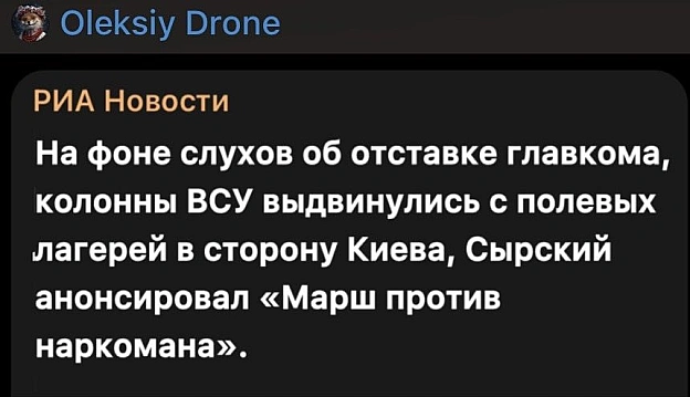 Наркомани - це росіяни, які продовжують не розуміти, як в Україні все це працює - Баба і Кіт на we.ua