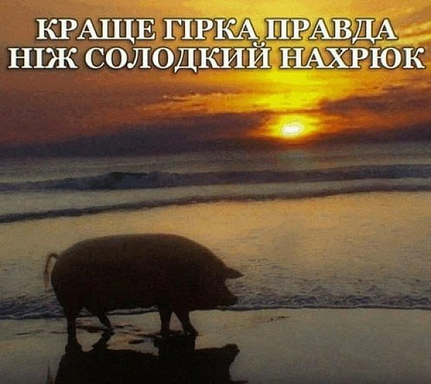 Баба і Кіт на we.ua