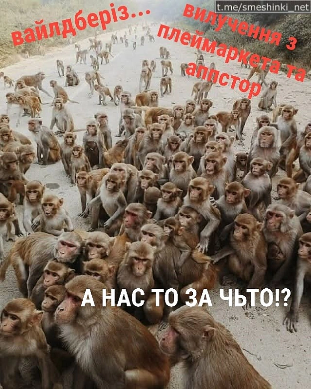 Переглянути нові  |  Надіслати своє - на we.ua