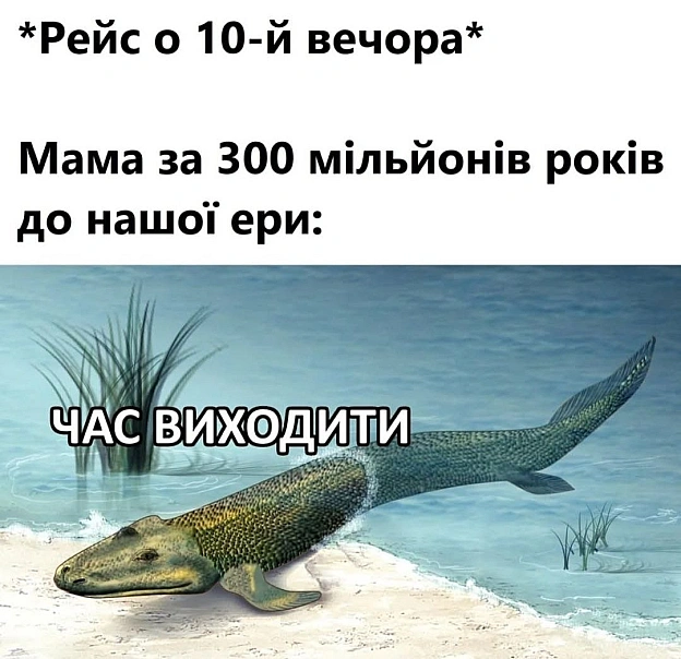 на we.ua