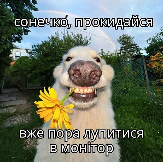 Доброго ранку!@memargam - на we.ua