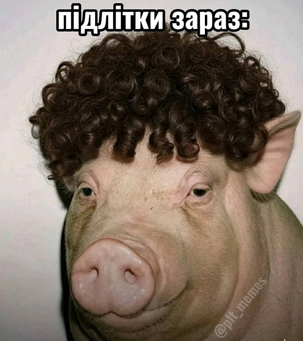 на we.ua