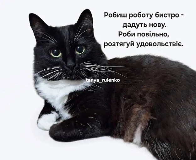 Порада дня@memargam - на we.ua