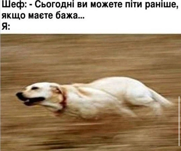 Скорость охуєвающа#хзчиймем@memargam - на we.ua