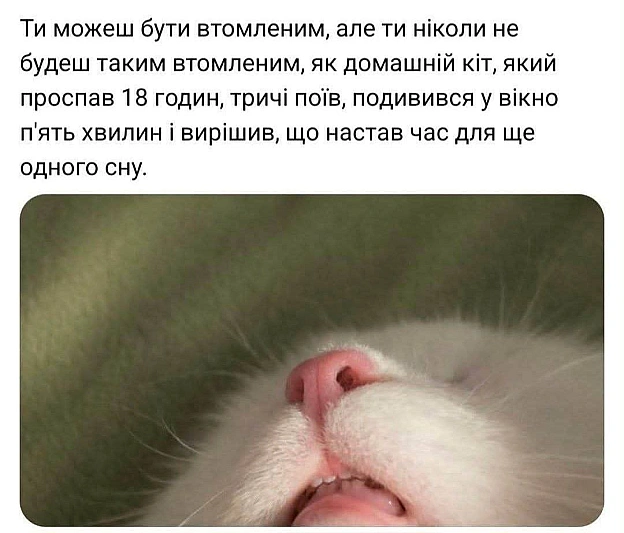 на we.ua