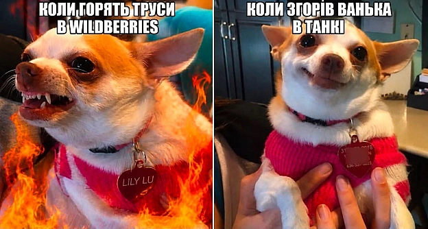 на we.ua