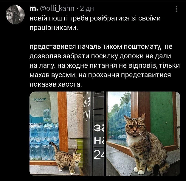 на we.ua