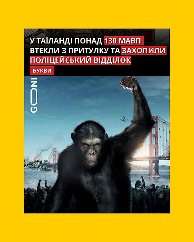 почалося ) - на we.ua