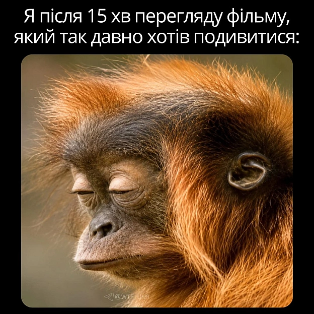 💀TG | X | FB | Instahttps://instagram.com/wtf_ukr/ - на we.ua