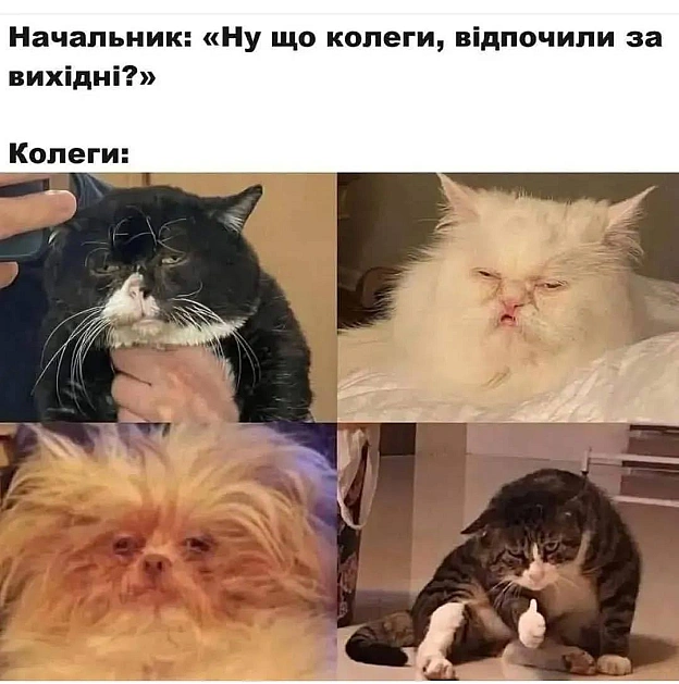 на we.ua