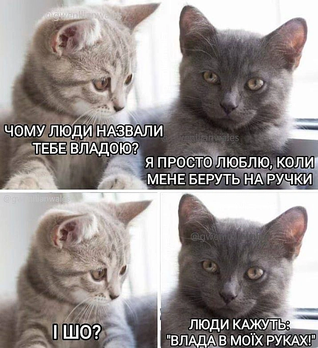 Єдина нормальна влада (с) @gwenllianwales@memargam - на we.ua