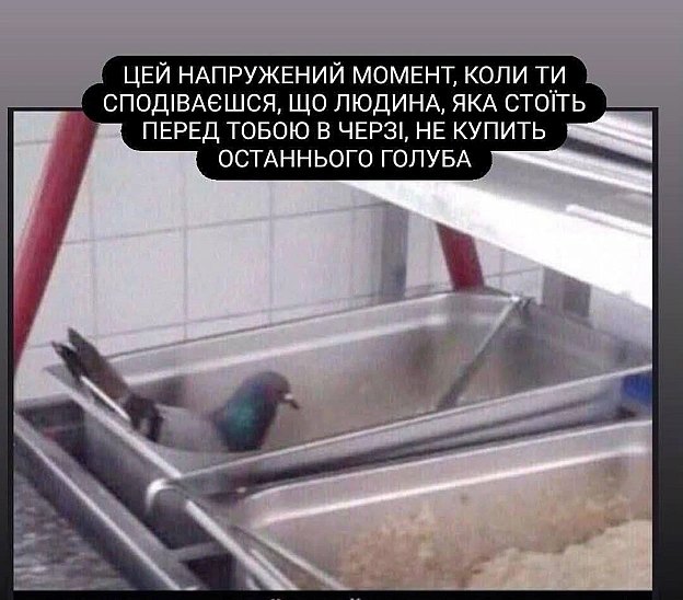 Ви вже поснідали? - на we.ua