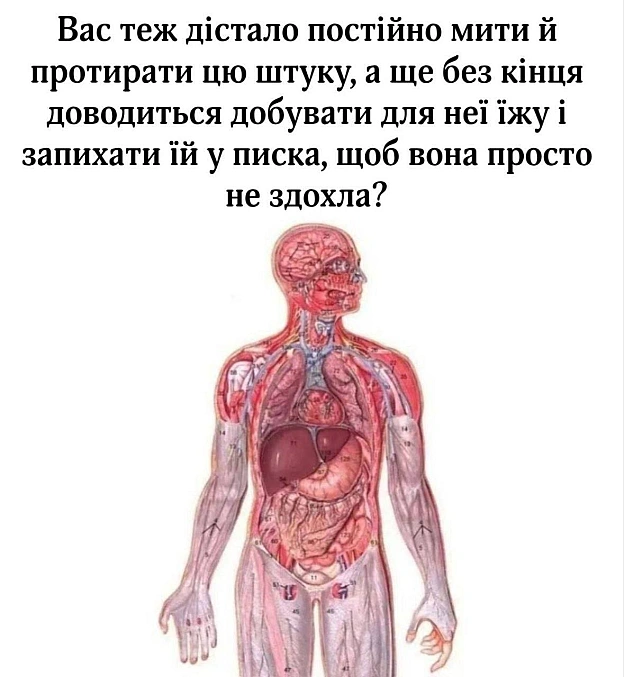 Це ж тамагочі#хзчиймем@memargam - на we.ua