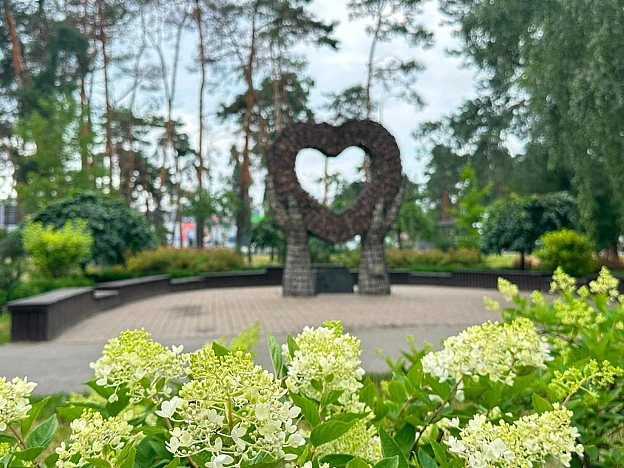🪻У Києві триває сезон цвітіння гортензій💛Саме зараз вони у найпишнішій фазі та прикрашають парки, сквери, набережні й інші зел... - на we.ua