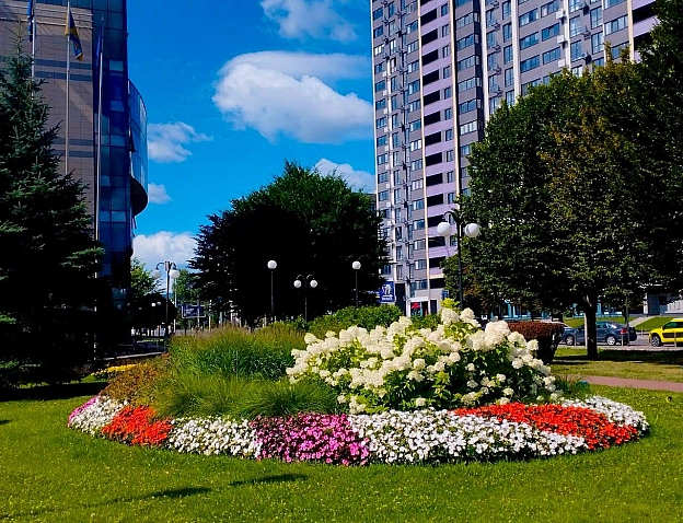 🪻У Києві триває сезон цвітіння гортензій💛Саме зараз вони у найпишнішій фазі та прикрашають парки, сквери, набережні й інші зел... - на we.ua