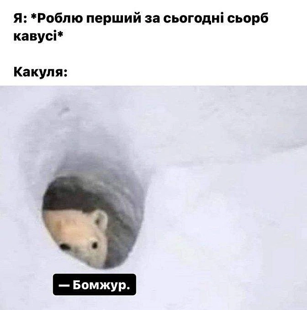 Доброго ранку!#хзчиймем@memargam - на we.ua