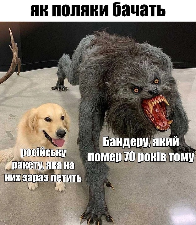 на we.ua