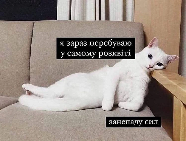 Доброго ранку!#хзчиймем@memargam - на we.ua