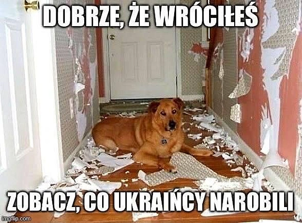 на we.ua