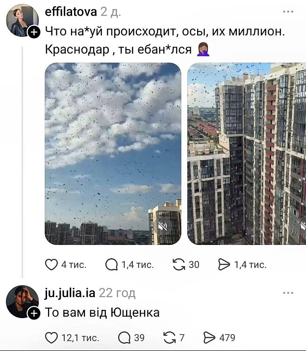 на we.ua