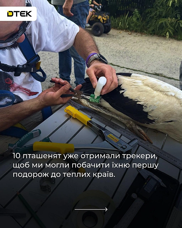 Запускаємо проєкт, який точно увійде в історію!«Трек лелек» — унікальна для України екологічна ініціатива, яка допоможе науков... - на we.ua