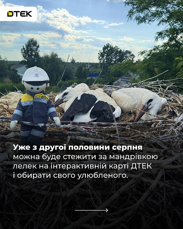 Запускаємо проєкт, який точно увійде в історію!«Трек лелек» — унікальна для України екологічна ініціатива, яка допоможе науков... - на we.ua