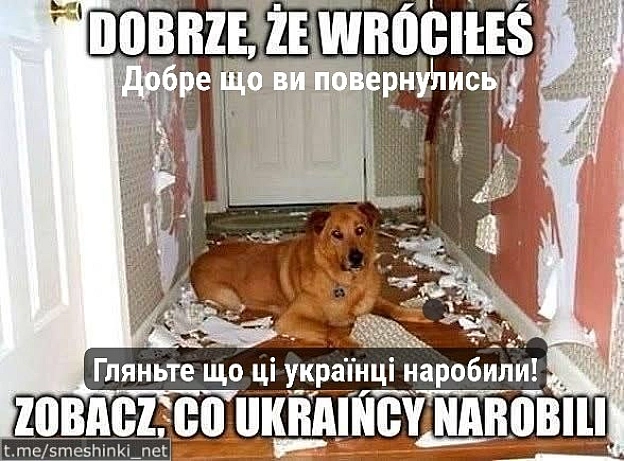 Переглянути нові  |  Надіслати своє - на we.ua