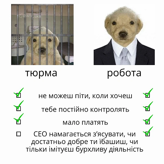 💀TG | X | FB | Instahttps://instagram.com/wtf_ukr/ - на we.ua