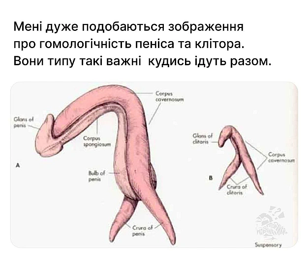 на we.ua