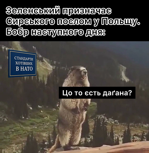 на we.ua