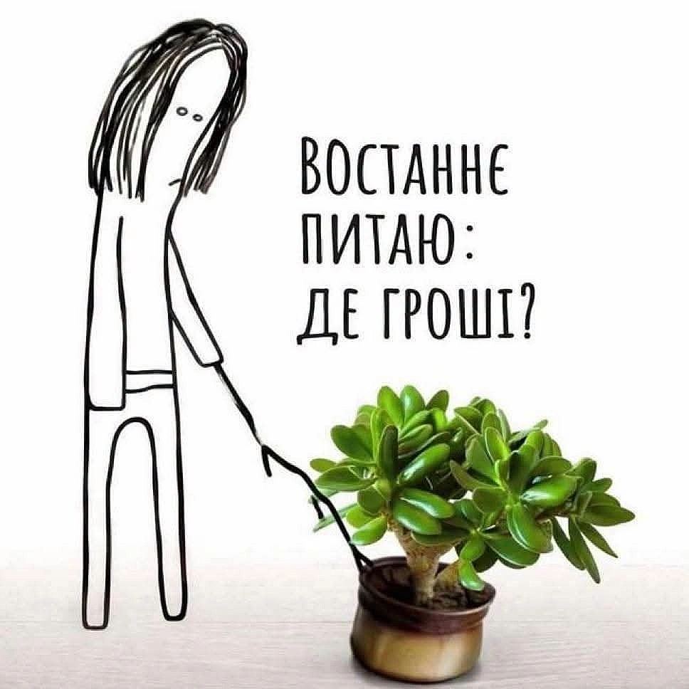 В тумбачкє - на we.ua