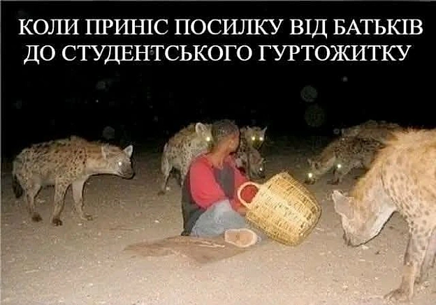 на we.ua