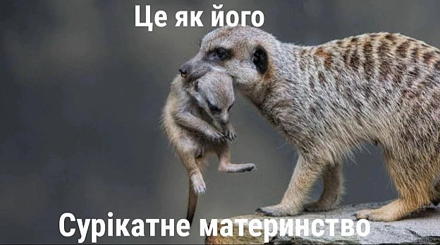 #хзчиймем@memargam - на we.ua
