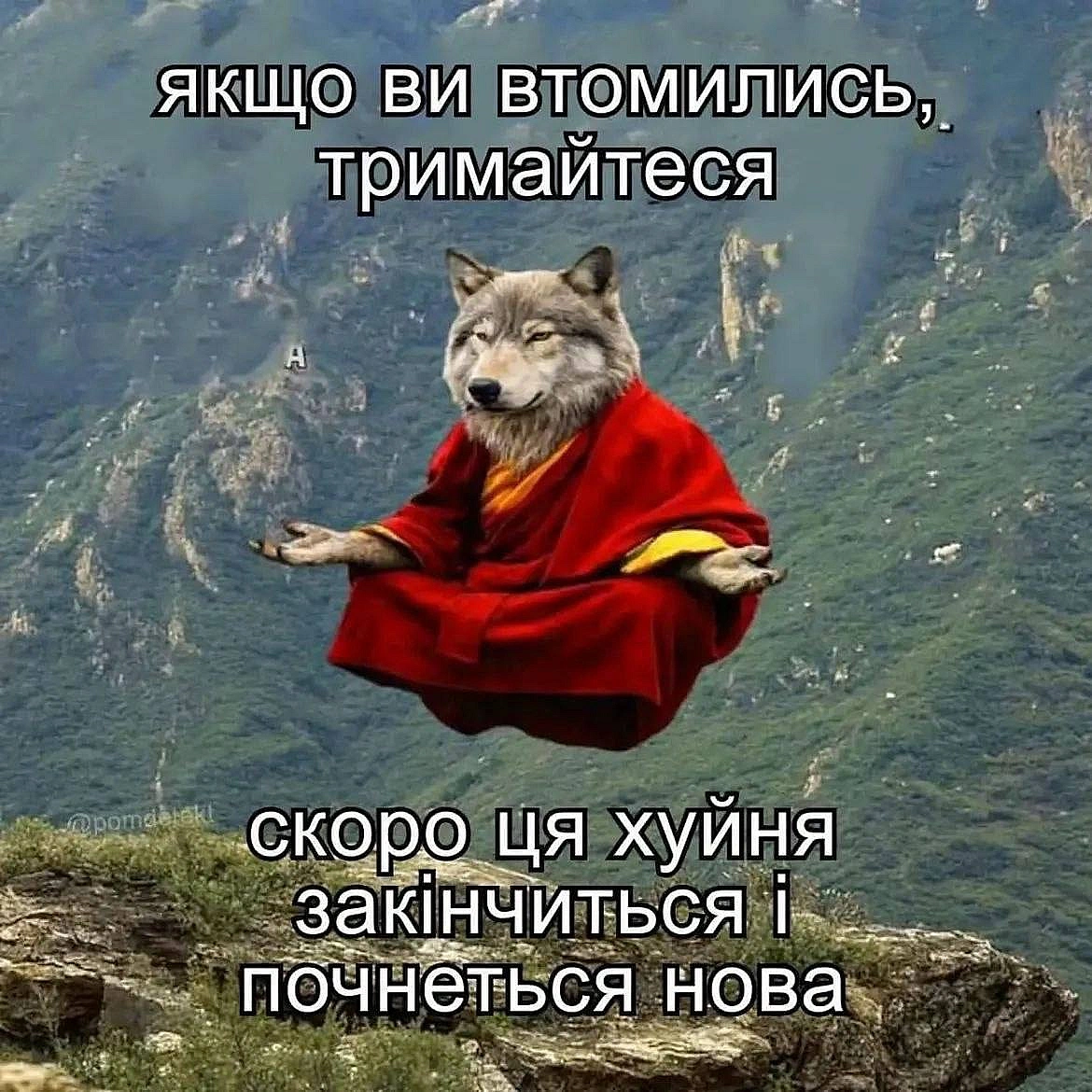 Доброго ранку!#хзчиймем@memargam - на we.ua