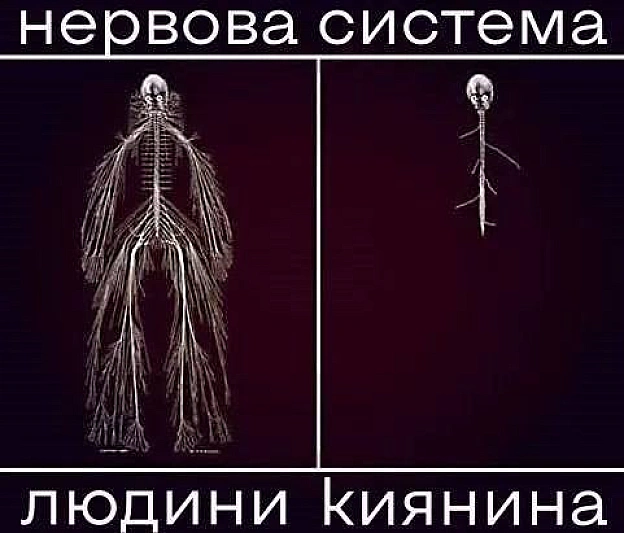 Баба і Кіт on we.ua